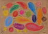 fruits
